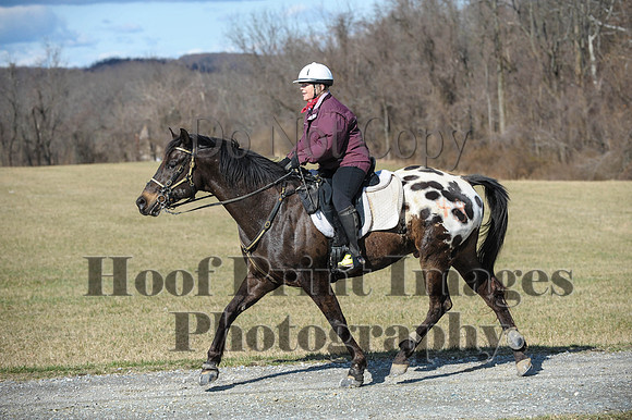 Chesapeake(4-4-15)0263