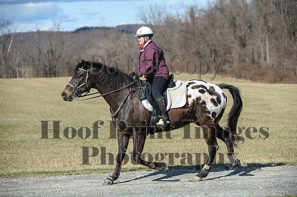 Chesapeake(4-4-15)0264