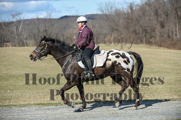 Chesapeake(4-4-15)0265