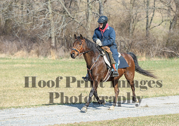 Chesapeake(4-4-15)0266