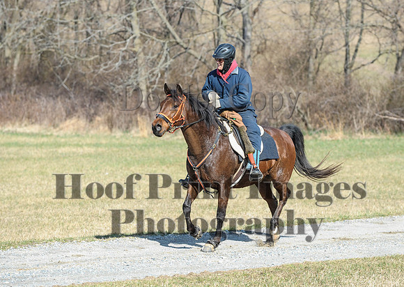 Chesapeake(4-4-15)0267