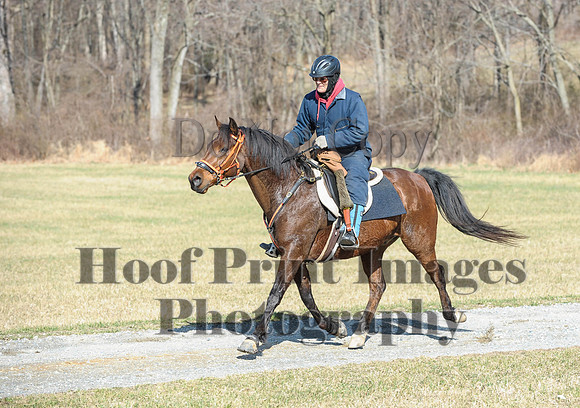 Chesapeake(4-4-15)0268