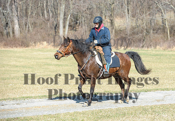 Chesapeake(4-4-15)0269