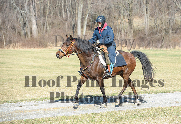 Chesapeake(4-4-15)0270