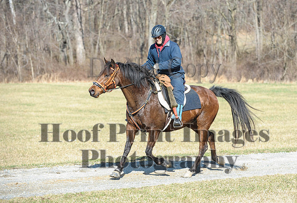 Chesapeake(4-4-15)0271