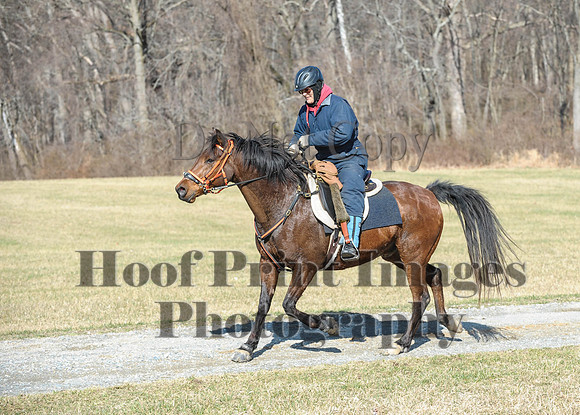 Chesapeake(4-4-15)0272
