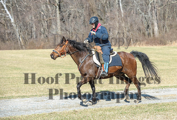 Chesapeake(4-4-15)0273
