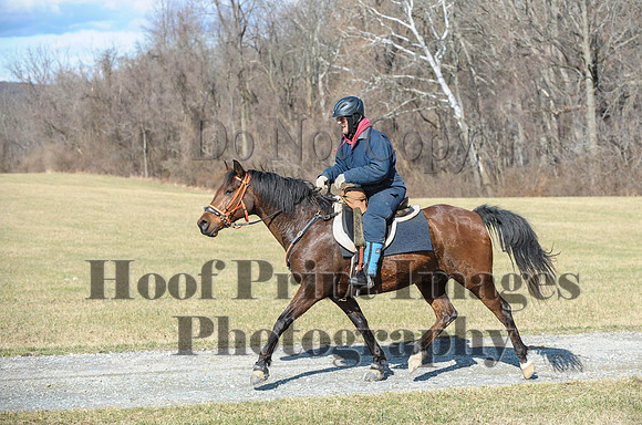 Chesapeake(4-4-15)0274