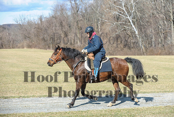 Chesapeake(4-4-15)0275