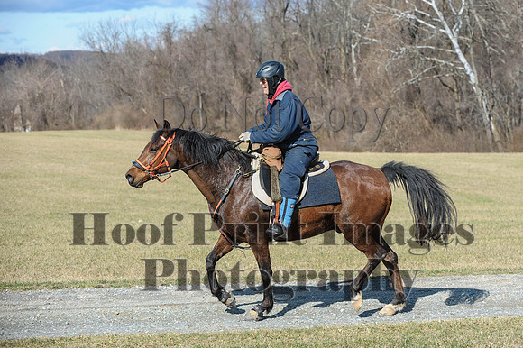 Chesapeake(4-4-15)0276