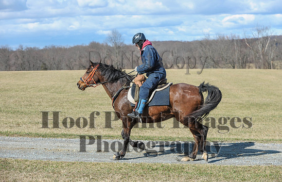 Chesapeake(4-4-15)0277
