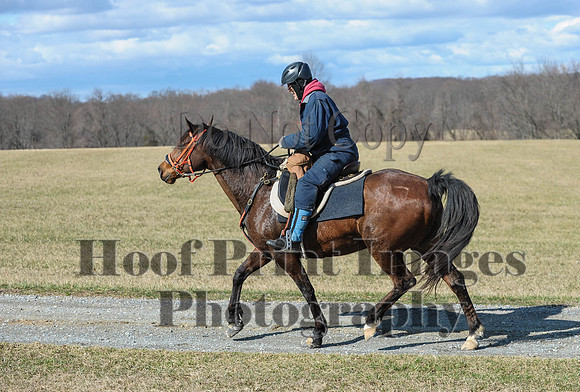Chesapeake(4-4-15)0278