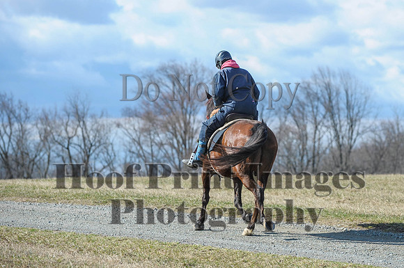 Chesapeake(4-4-15)0279