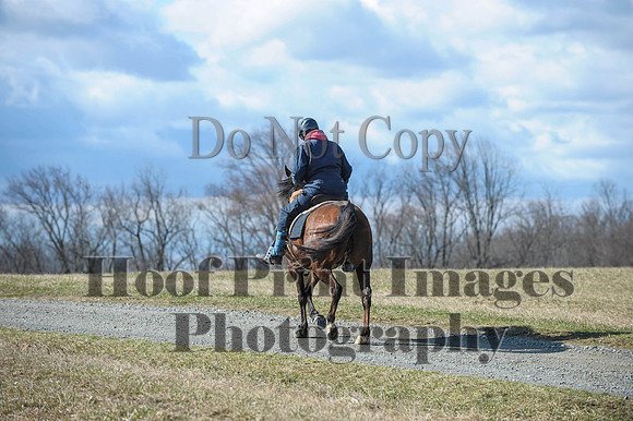 Chesapeake(4-4-15)0280