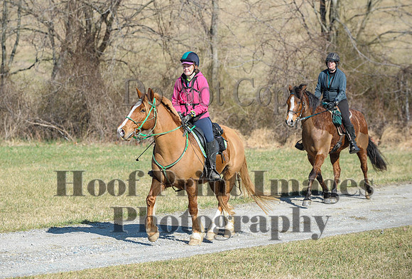 Chesapeake(4-4-15)0282