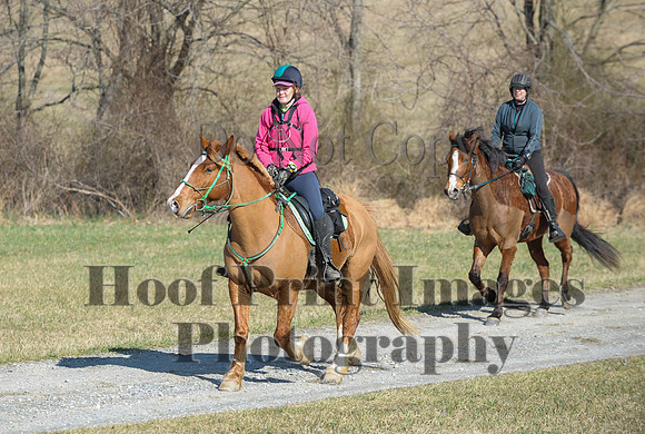 Chesapeake(4-4-15)0283