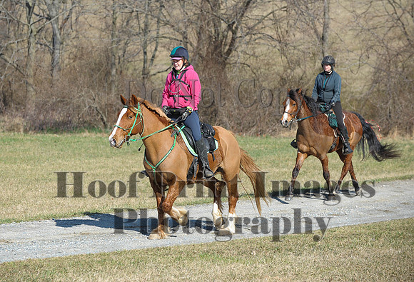 Chesapeake(4-4-15)0284