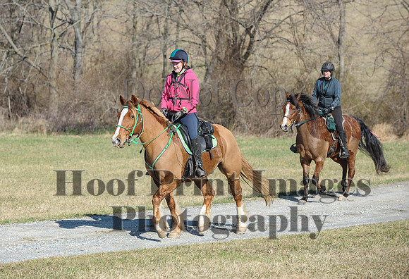 Chesapeake(4-4-15)0285