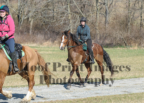 Chesapeake(4-4-15)0288