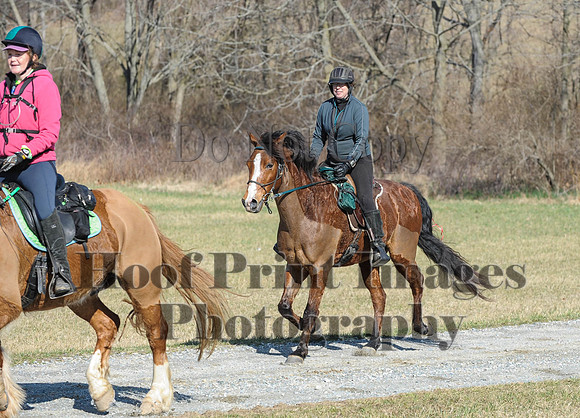 Chesapeake(4-4-15)0289