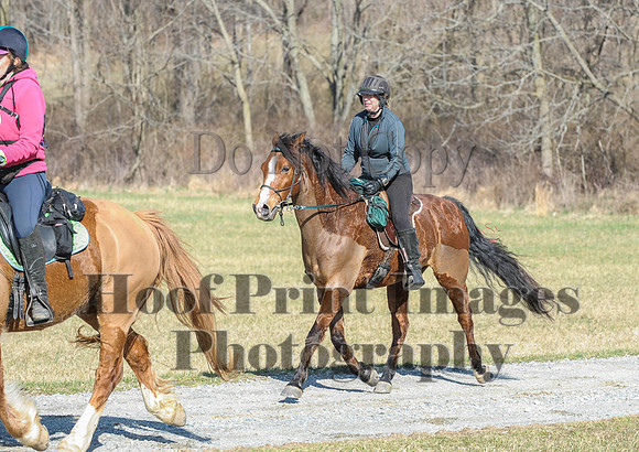Chesapeake(4-4-15)0290