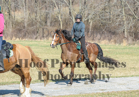 Chesapeake(4-4-15)0291