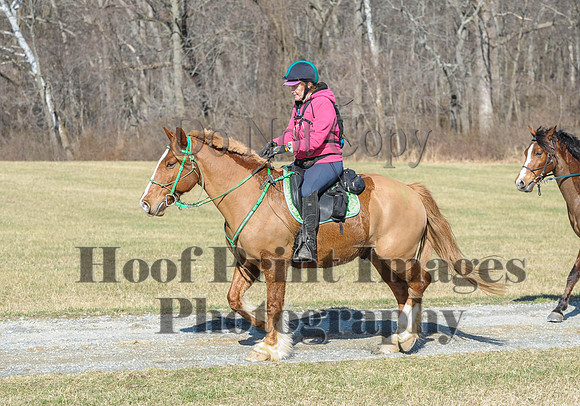 Chesapeake(4-4-15)0292