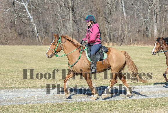 Chesapeake(4-4-15)0293