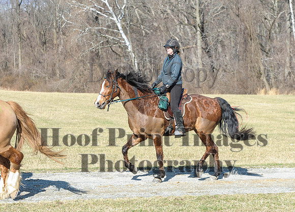 Chesapeake(4-4-15)0294