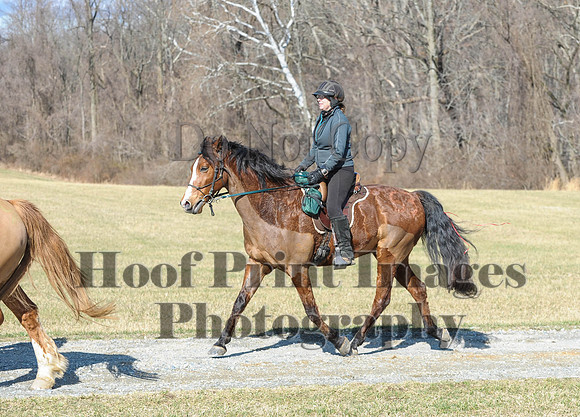 Chesapeake(4-4-15)0295