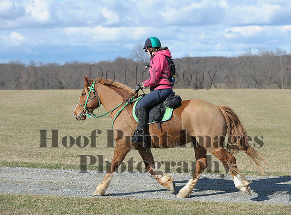 Chesapeake(4-4-15)0296