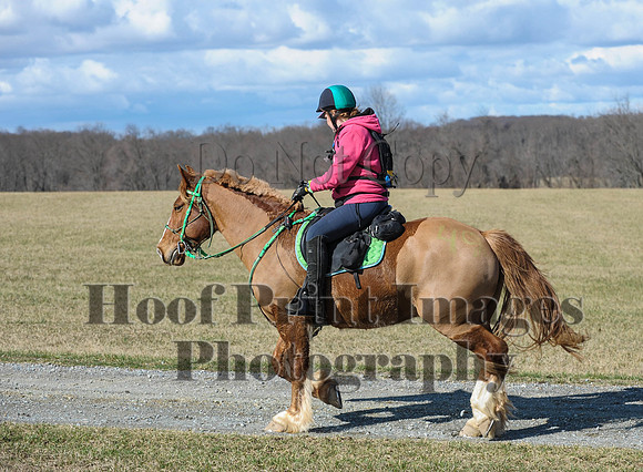 Chesapeake(4-4-15)0297