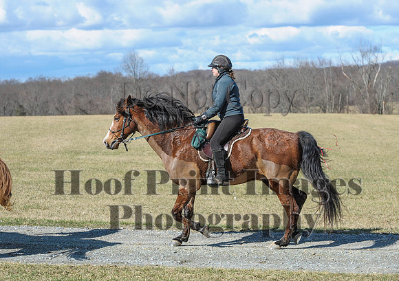 Chesapeake(4-4-15)0298