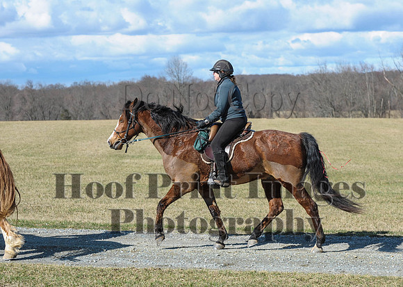 Chesapeake(4-4-15)0299