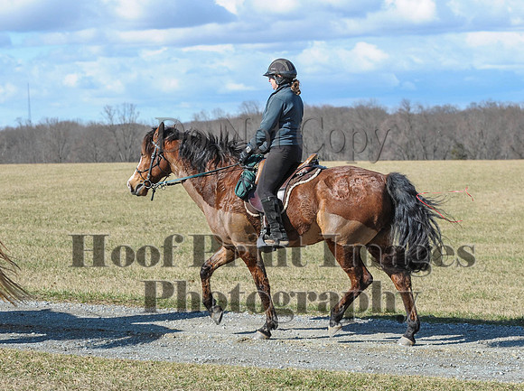 Chesapeake(4-4-15)0300