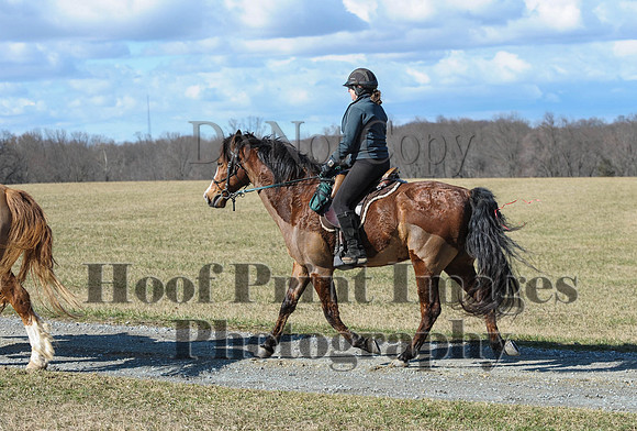 Chesapeake(4-4-15)0301