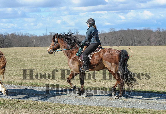 Chesapeake(4-4-15)0302