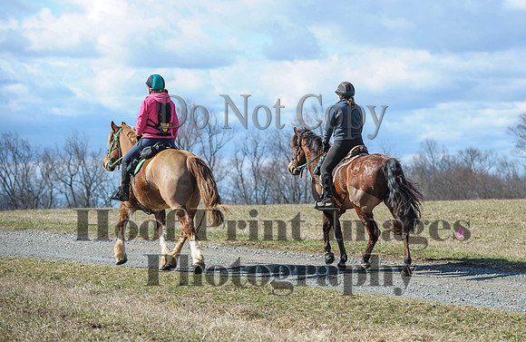 Chesapeake(4-4-15)0303
