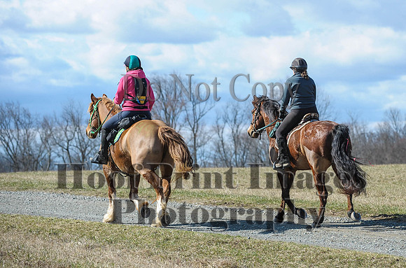 Chesapeake(4-4-15)0304