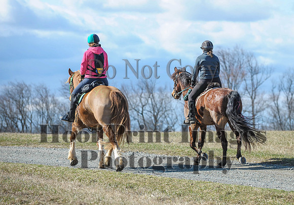 Chesapeake(4-4-15)0306