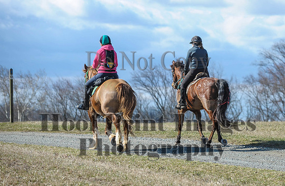 Chesapeake(4-4-15)0307
