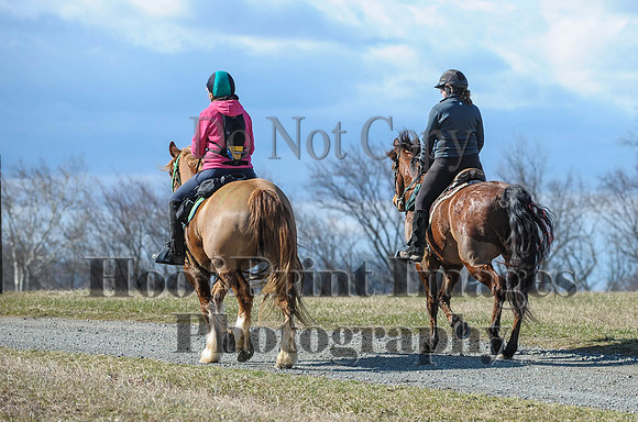 Chesapeake(4-4-15)0308
