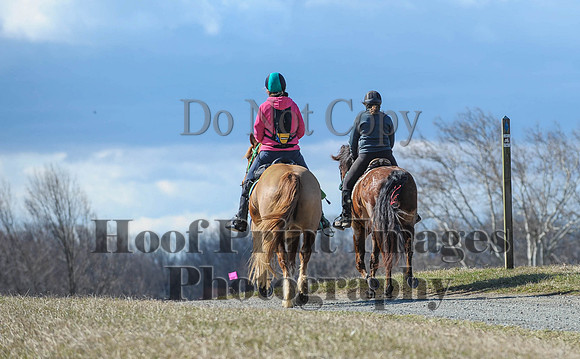 Chesapeake(4-4-15)0309