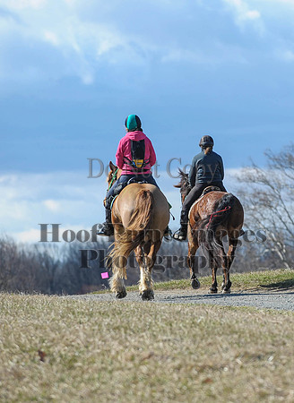Chesapeake(4-4-15)0310