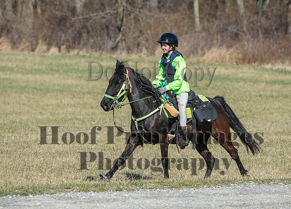 Chesapeake(4-4-15)0311