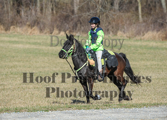 Chesapeake(4-4-15)0312
