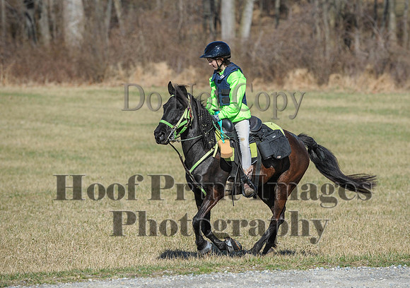Chesapeake(4-4-15)0313