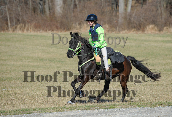 Chesapeake(4-4-15)0314