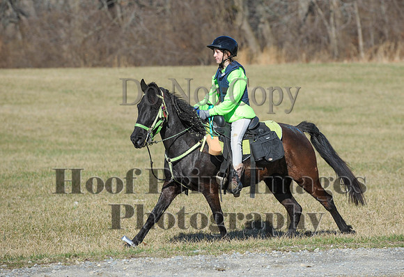 Chesapeake(4-4-15)0315