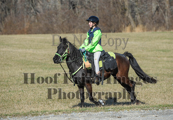 Chesapeake(4-4-15)0316